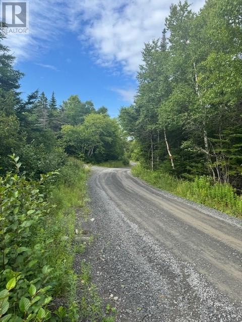 19 Island Pond Road, Spread Eagle, Newfoundland & Labrador  A0B 2W0 - Photo 8 - 1288427