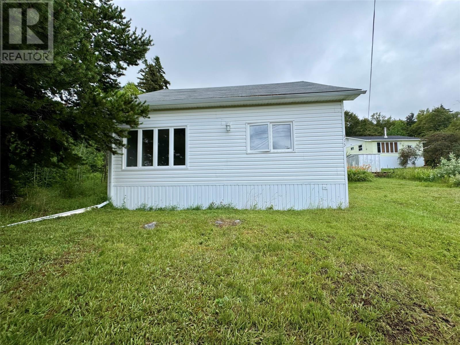313 Citizen's Drive, Norris Arm, Newfoundland & Labrador  A0G 3M0 - Photo 2 - 1288426