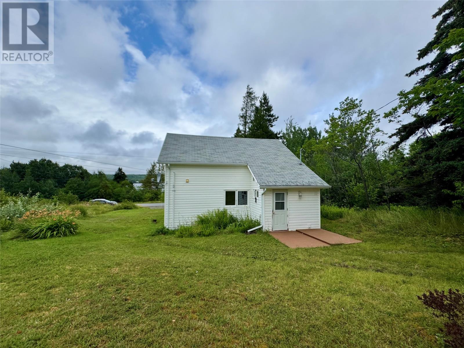 313 Citizen's Drive, Norris Arm, Newfoundland & Labrador  A0G 3M0 - Photo 3 - 1288426