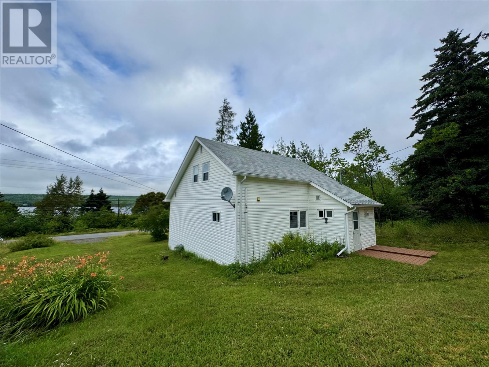313 Citizen's Drive, Norris Arm, Newfoundland & Labrador  A0G 3M0 - Photo 4 - 1288426