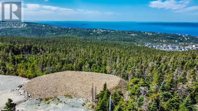 18 Tuckford Road, St. Philips, Newfoundland & Labrador  A1M 1R7 - Photo 4 - 1288404