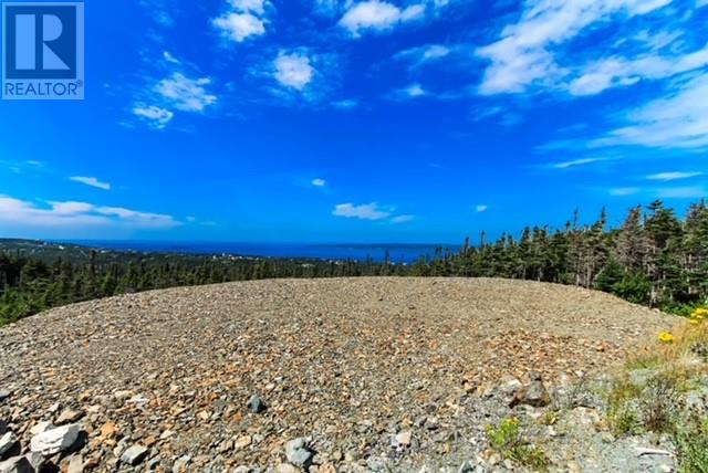 18 Tuckford Road, St. Philips, Newfoundland & Labrador  A1M 1R7 - Photo 5 - 1288404