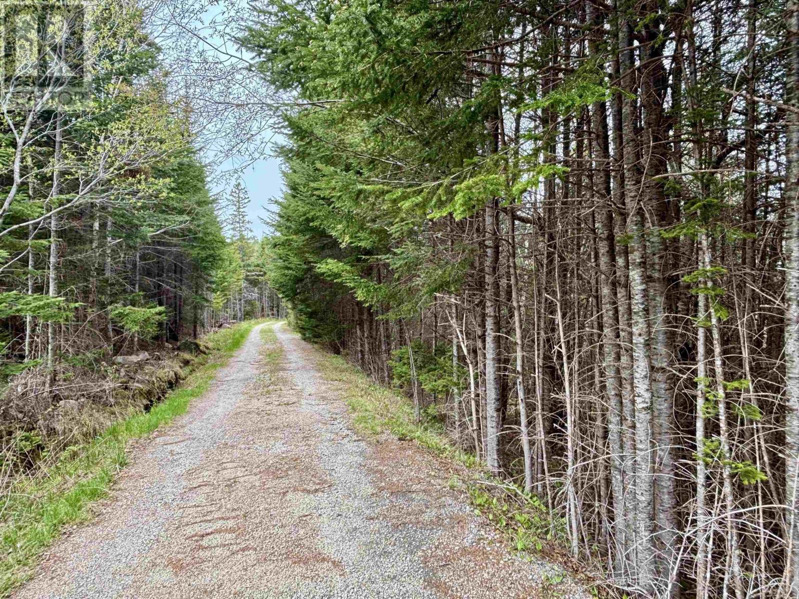 74 Old Oakland Road, Indian Point, Nova Scotia  B0J 2E0 - Photo 21 - 202510935