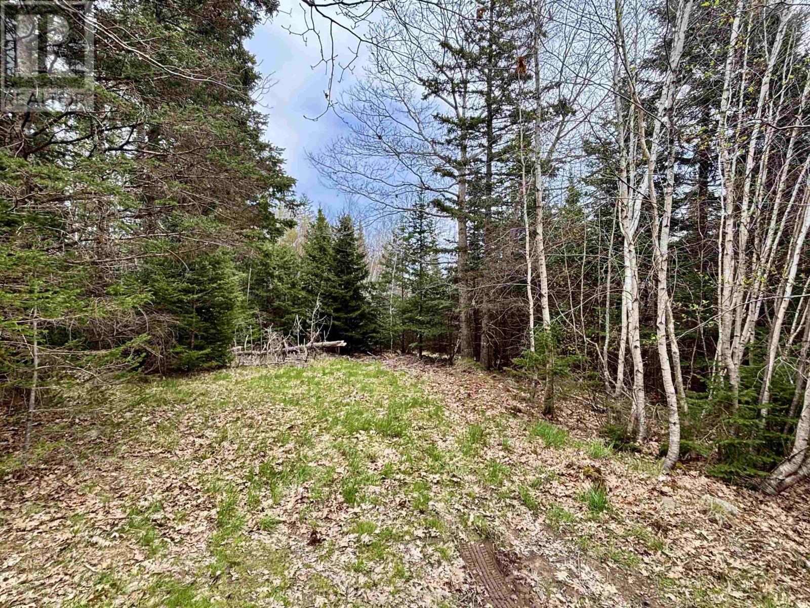 74 Old Oakland Road, Indian Point, Nova Scotia  B0J 2E0 - Photo 22 - 202510935