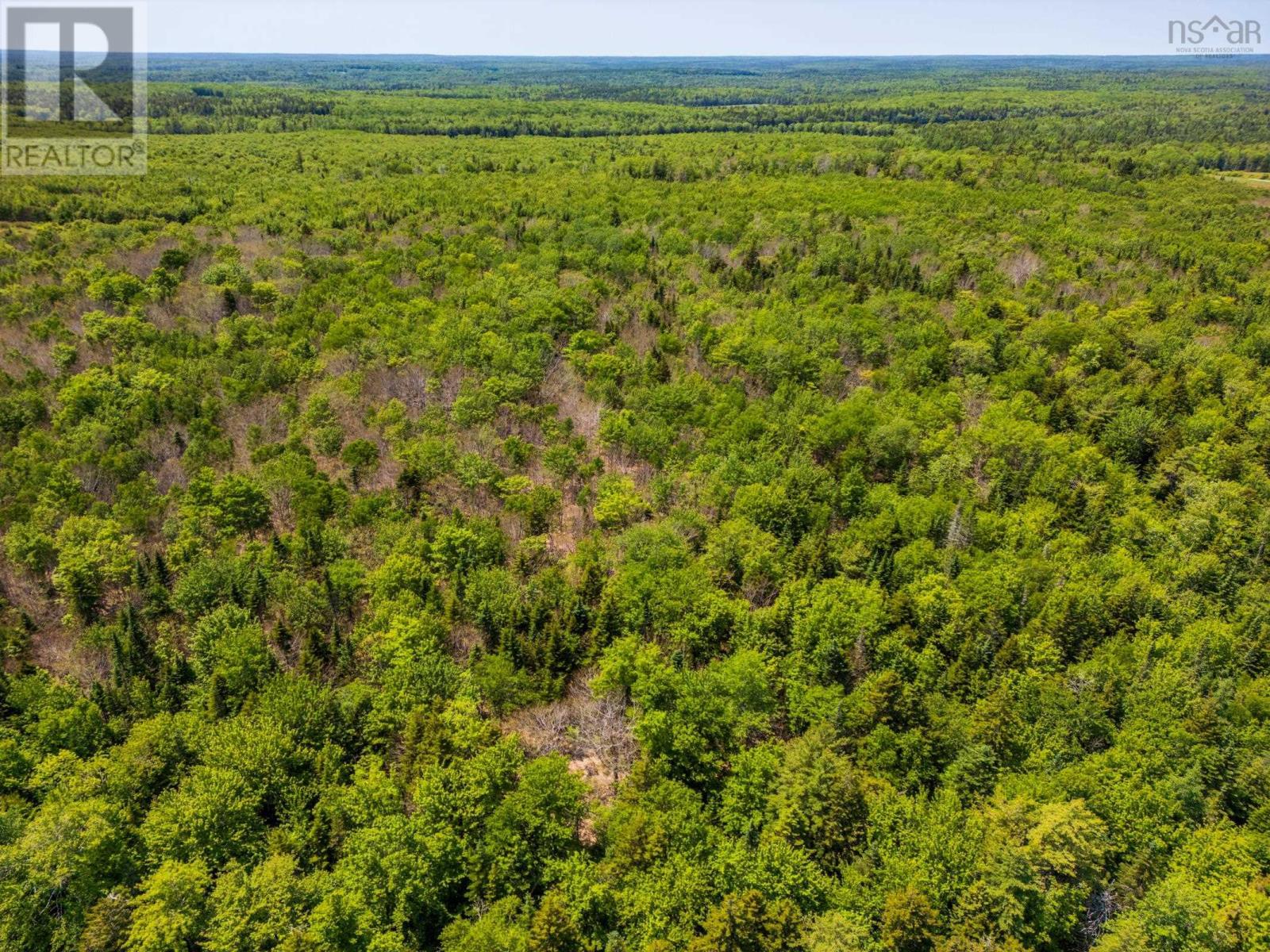 Lot 5 Depot Road, East Kemptville, Nova Scotia  B5A 5P7 - Photo 13 - 202515555