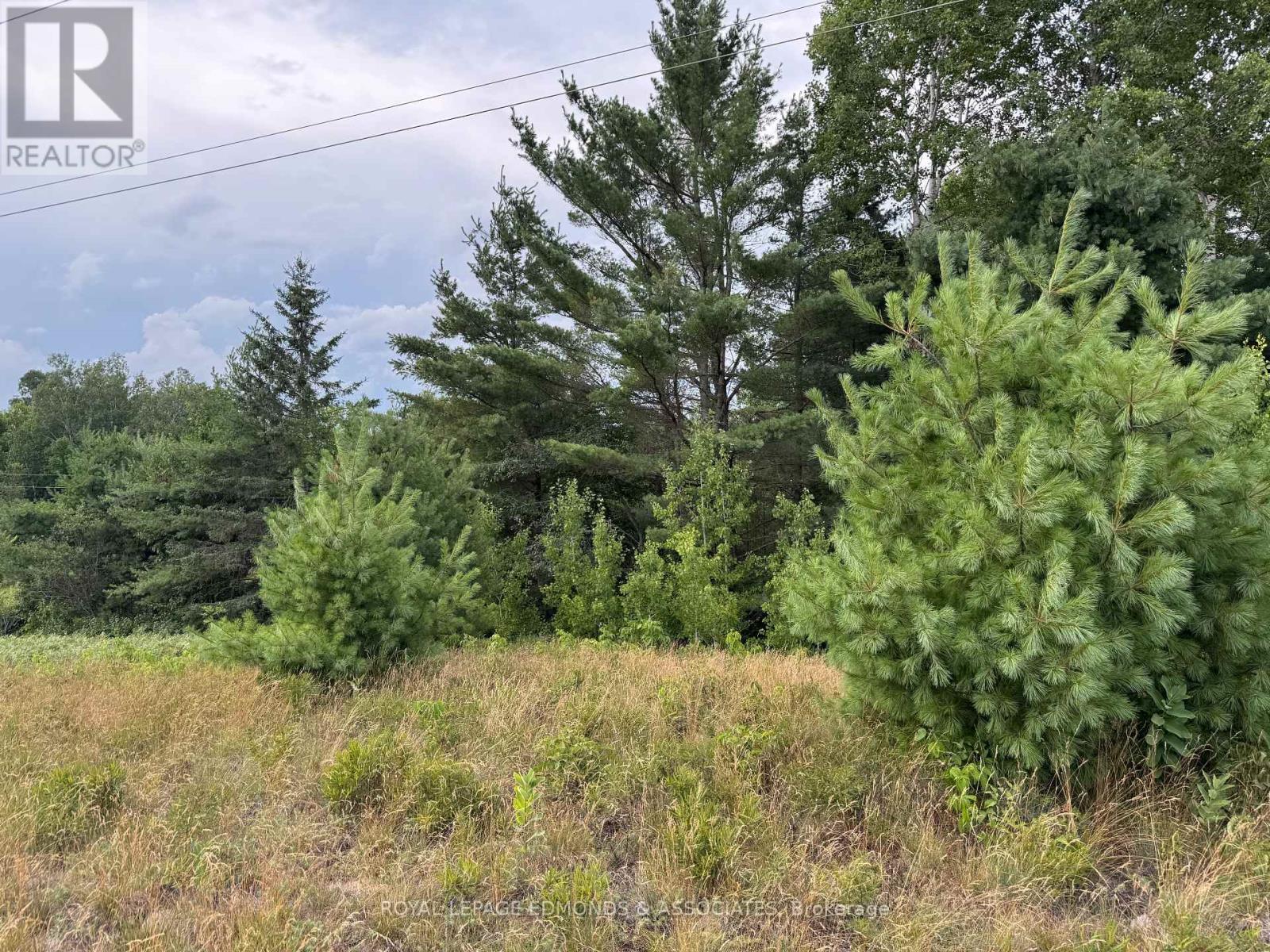 0 Black Bay Road, Petawawa, Ontario  K8H 2W8 - Photo 10 - X12310237