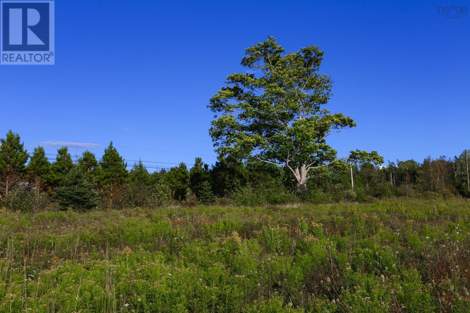 440 Purdy Road, Waldeck West, Nova Scotia  B0S 1J0 - Photo 28 - 202505078