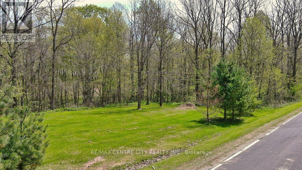 47640 Rush Creek Line, Malahide, Ontario  N5H 2R2 - Photo 5 - X12154993