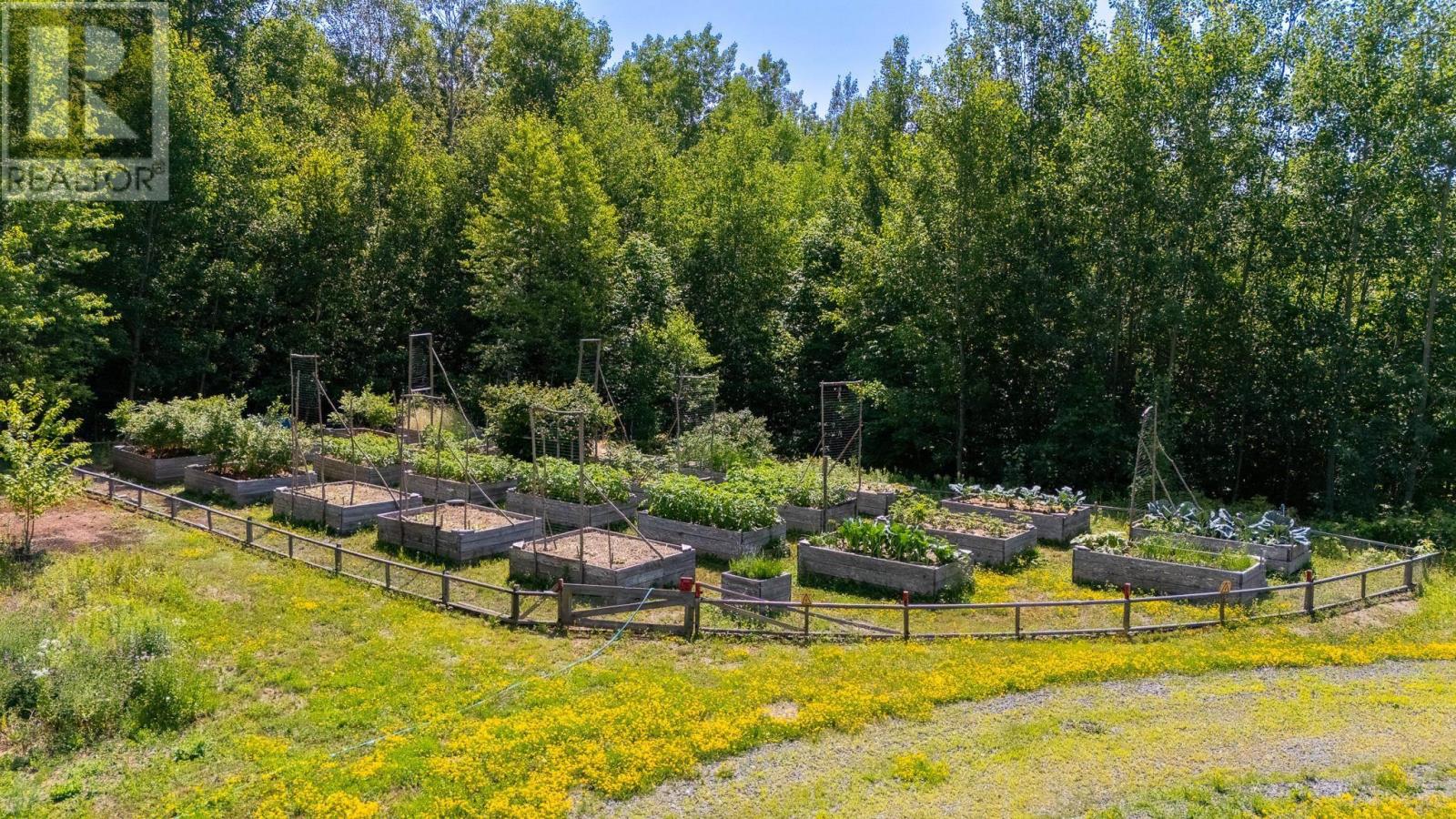 516 Burgess Mountain Road, Woodville, Nova Scotia  B0P 1G0 - Photo 12 - 202518901