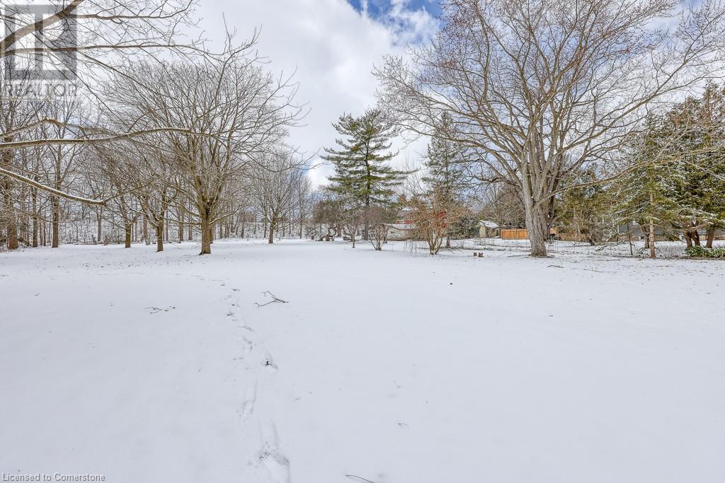 Photo 50 of 50 for 395 Holmes Street