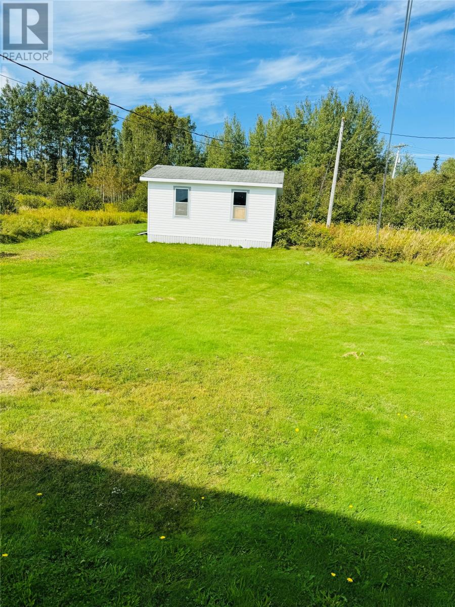 246 Main Street, Norris Arm North, Newfoundland & Labrador  A0G 3N0 - Photo 3 - 1286770