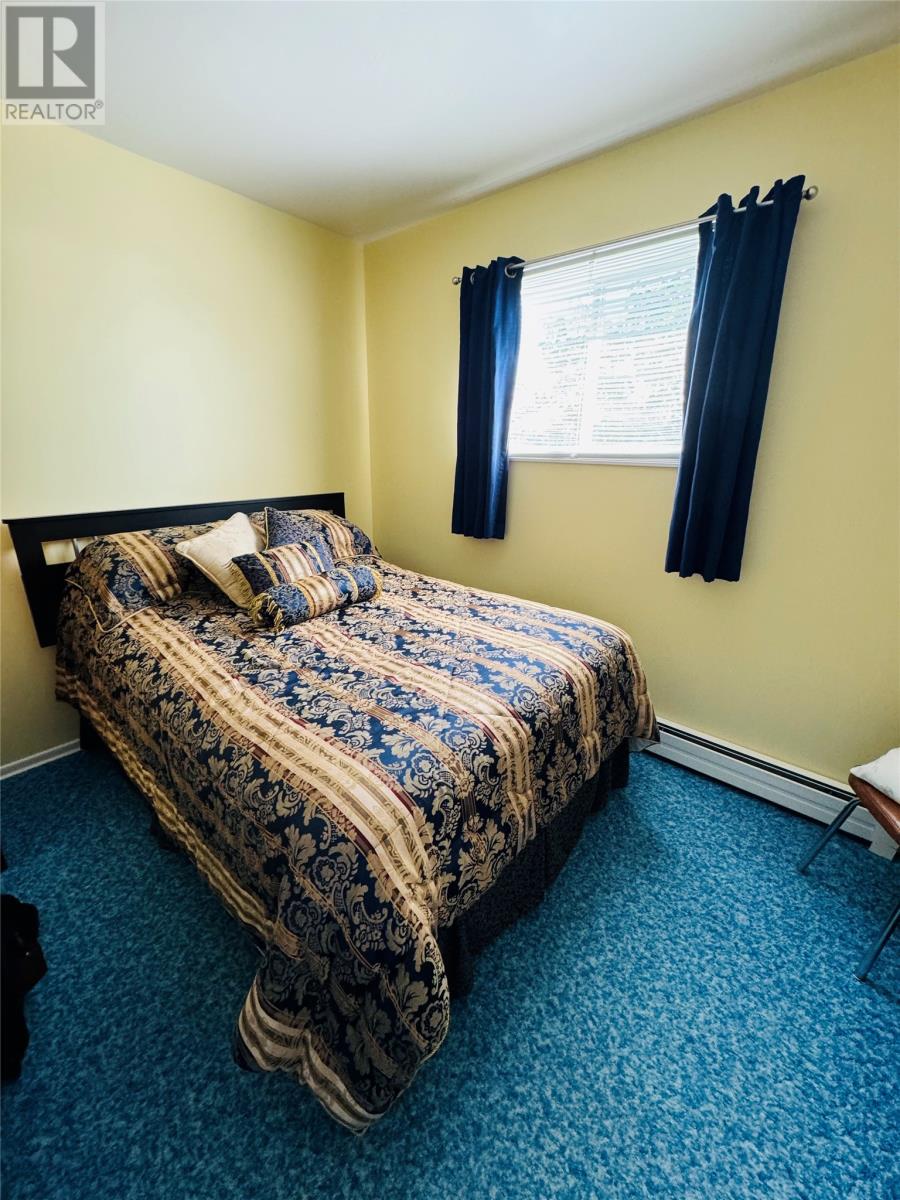 246 Main Street, Norris Arm North, Newfoundland & Labrador  A0G 3N0 - Photo 18 - 1286770