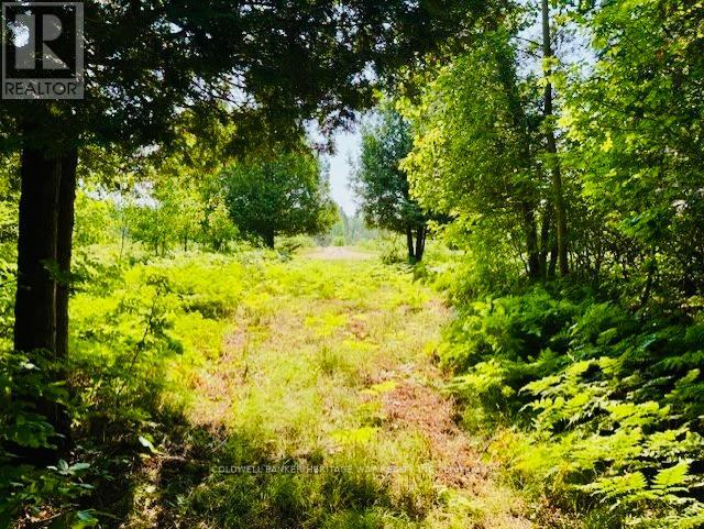 12990 #7 Highway, Lanark Highlands, Ontario  K7C 3P1 - Photo 3 - X12310635