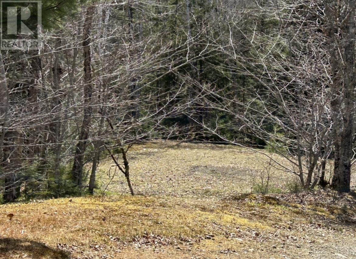 Lot 1 51 Lead Mines Road, Glenelg, Nova Scotia  B0H 1E0 - Photo 18 - 202515442