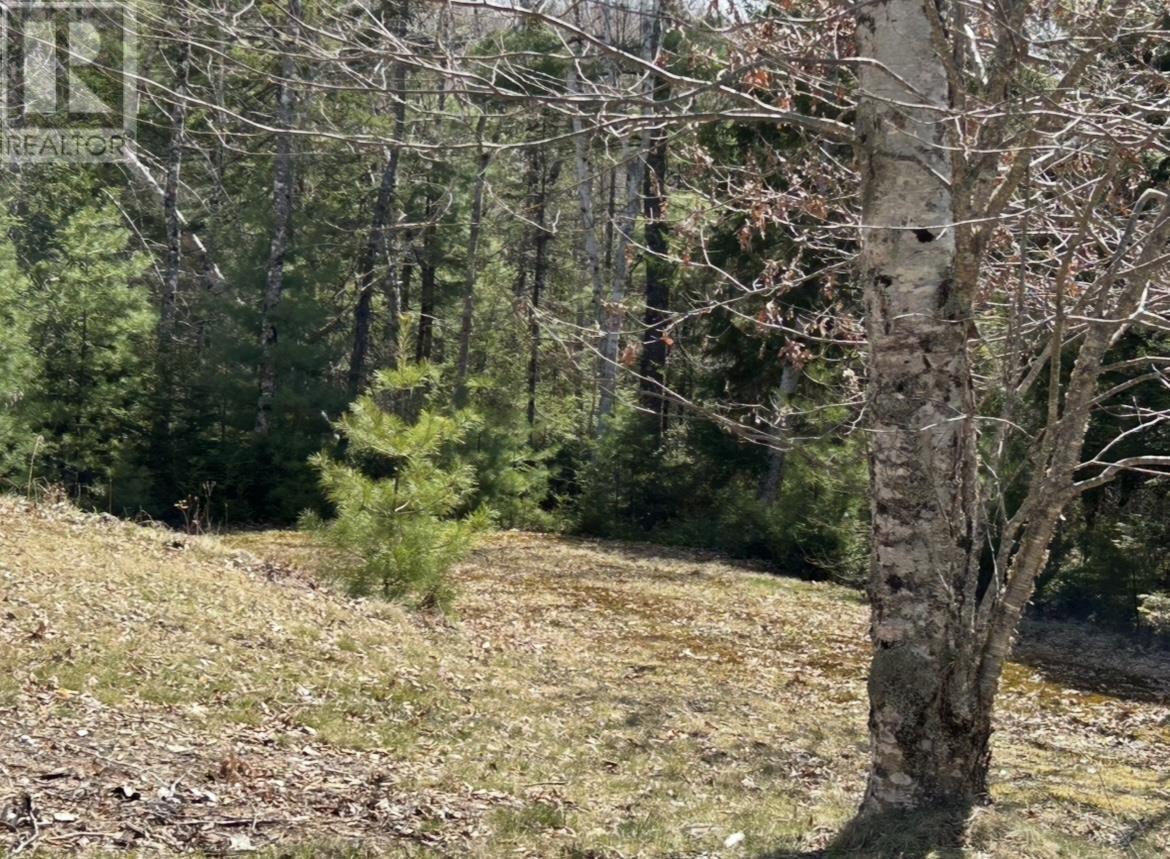 Lot 1 51 Lead Mines Road, Glenelg, Nova Scotia  B0H 1E0 - Photo 11 - 202515442