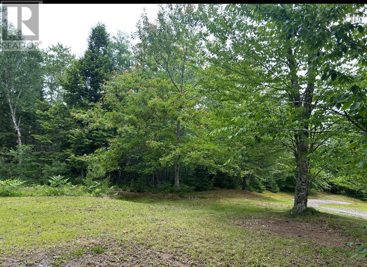 Lot 1 51 Lead Mines Road, Glenelg, Nova Scotia  B0H 1E0 - Photo 1 - 202515442