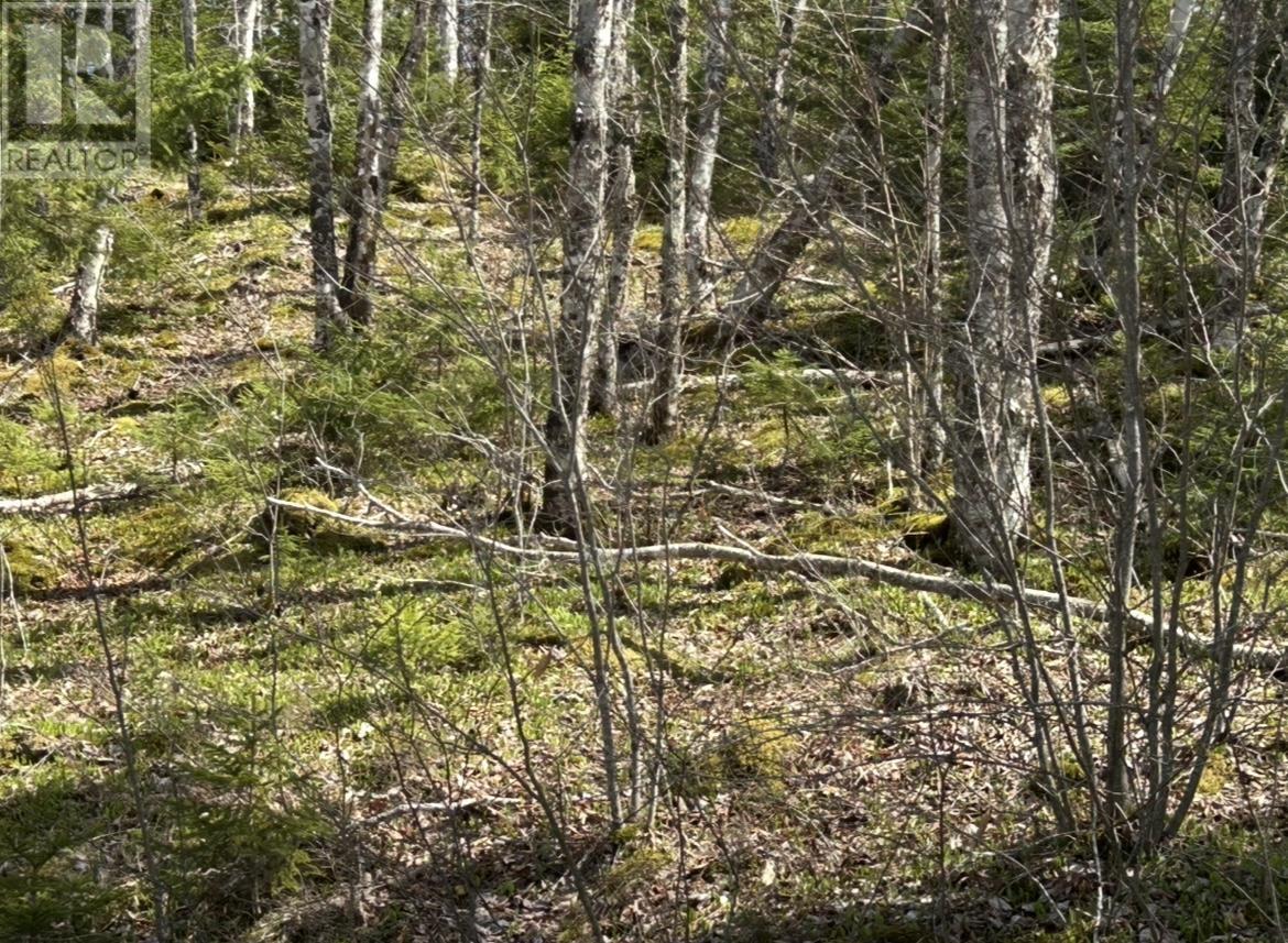 Lot 1 51 Lead Mines Road, Glenelg, Nova Scotia  B0H 1E0 - Photo 6 - 202515442