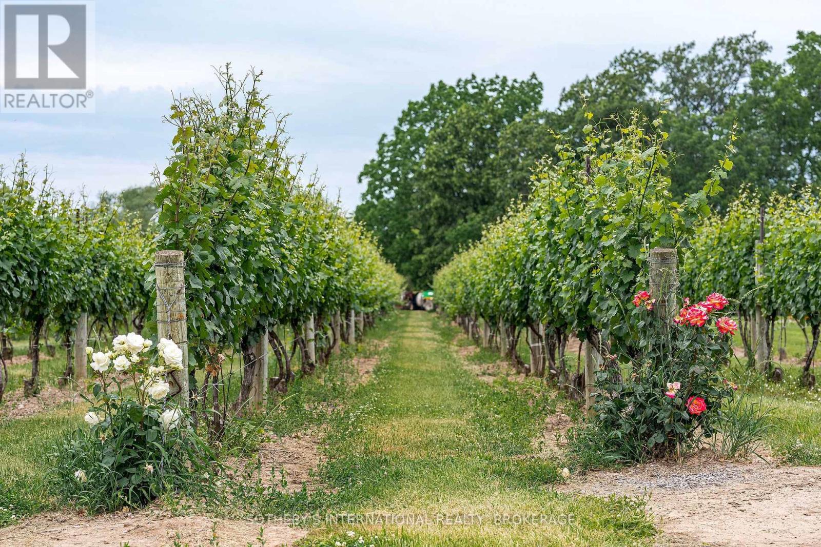 1339 Lakeshore Road, Niagara-On-The-Lake, Ontario  L0S 1J0 - Photo 4 - X12310787