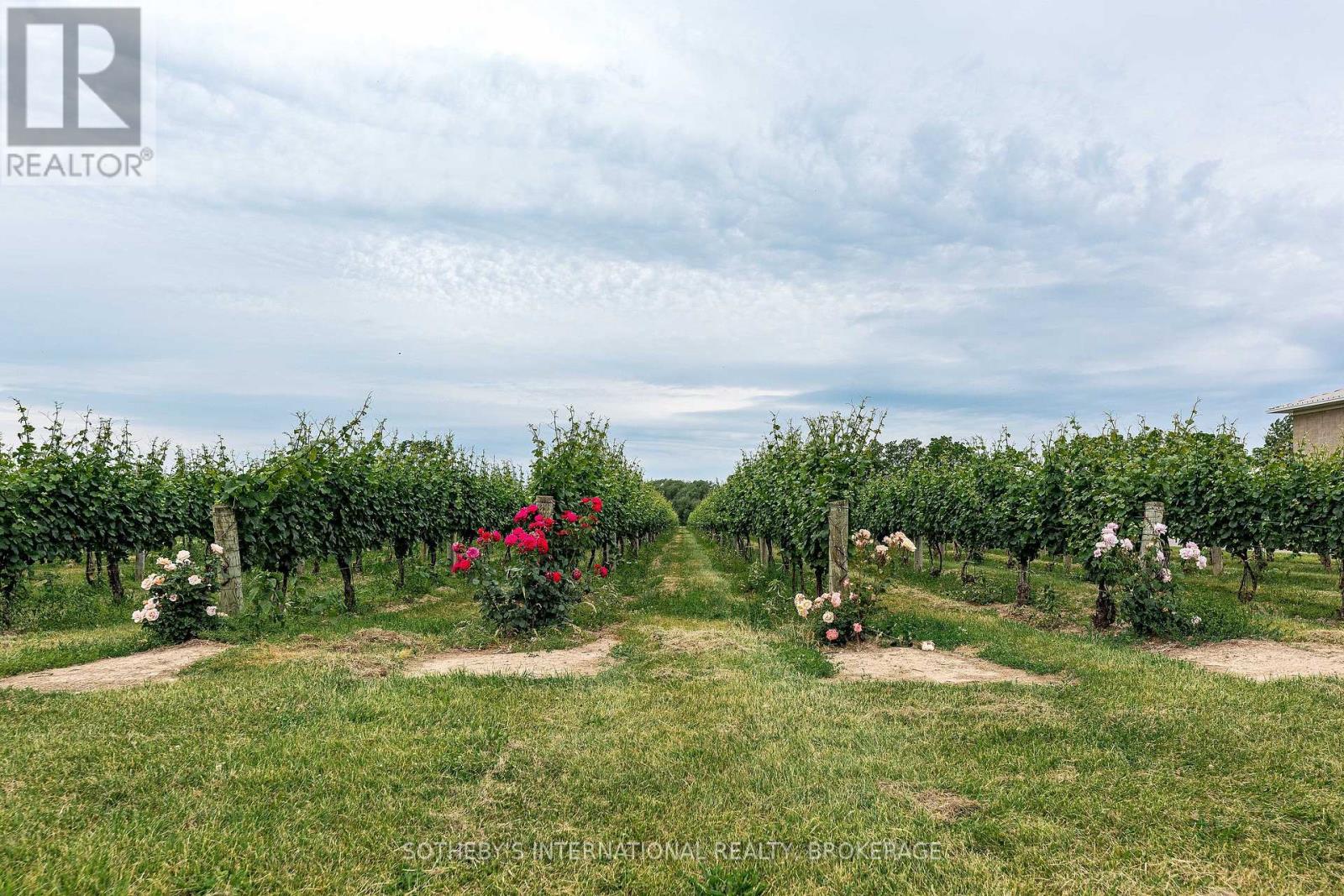 1339 Lakeshore Road, Niagara-On-The-Lake, Ontario  L0S 1J0 - Photo 3 - X12310787