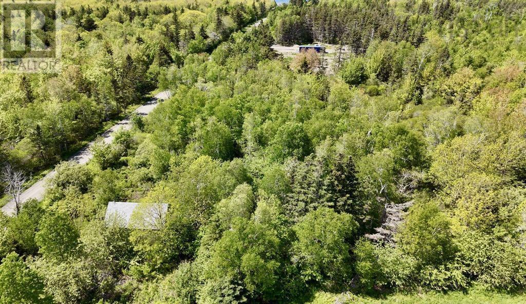 Lot 4 Kinney Road, Ashmore, Nova Scotia  B0W 3T0 - Photo 12 - 202515553
