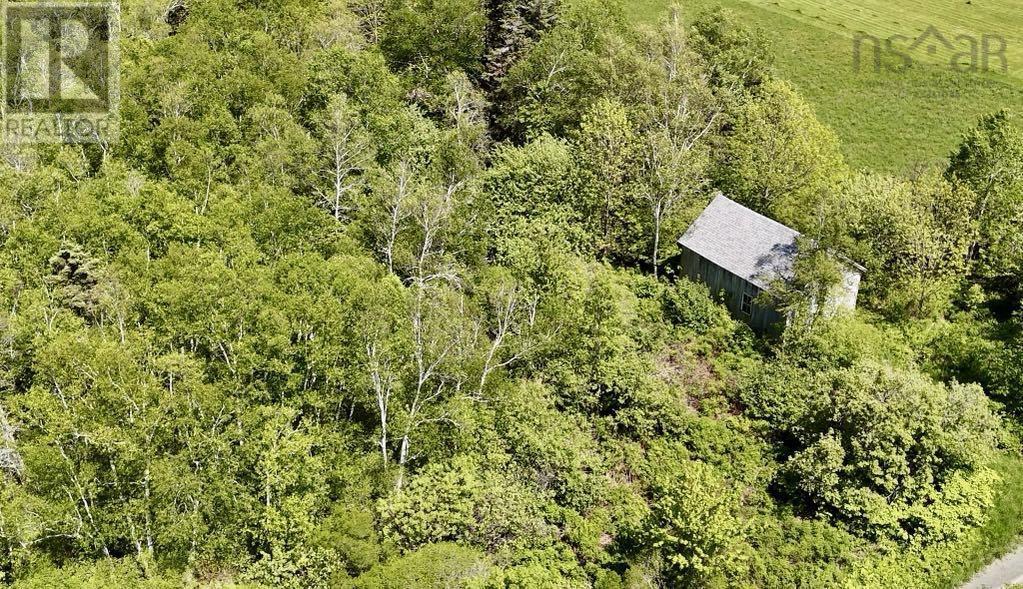 Lot 4 Kinney Road, Ashmore, Nova Scotia  B0W 3T0 - Photo 14 - 202515553