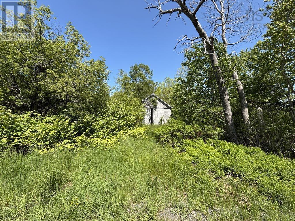 Lot 4 Kinney Road, Ashmore, Nova Scotia  B0W 3T0 - Photo 18 - 202515553