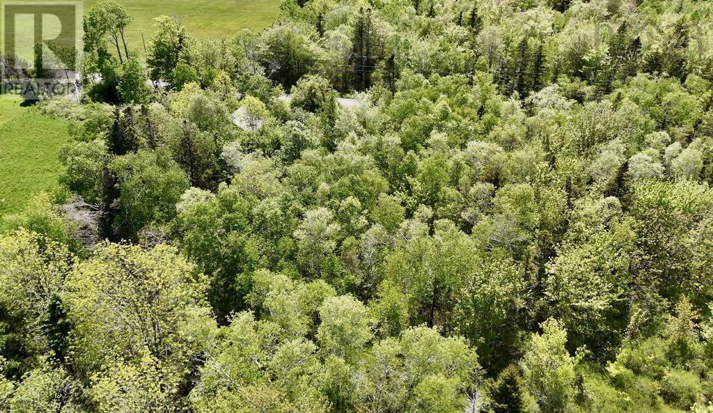 Lot 4 Kinney Road, Ashmore, Nova Scotia  B0W 3T0 - Photo 3 - 202515553