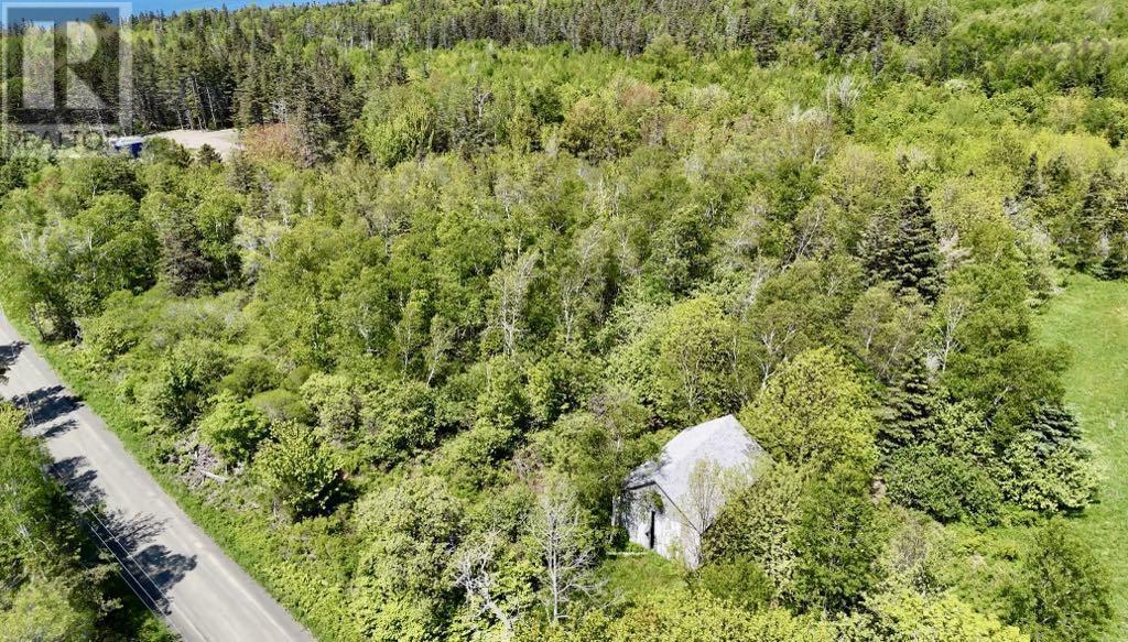 Lot 4 Kinney Road, Ashmore, Nova Scotia  B0W 3T0 - Photo 19 - 202515553