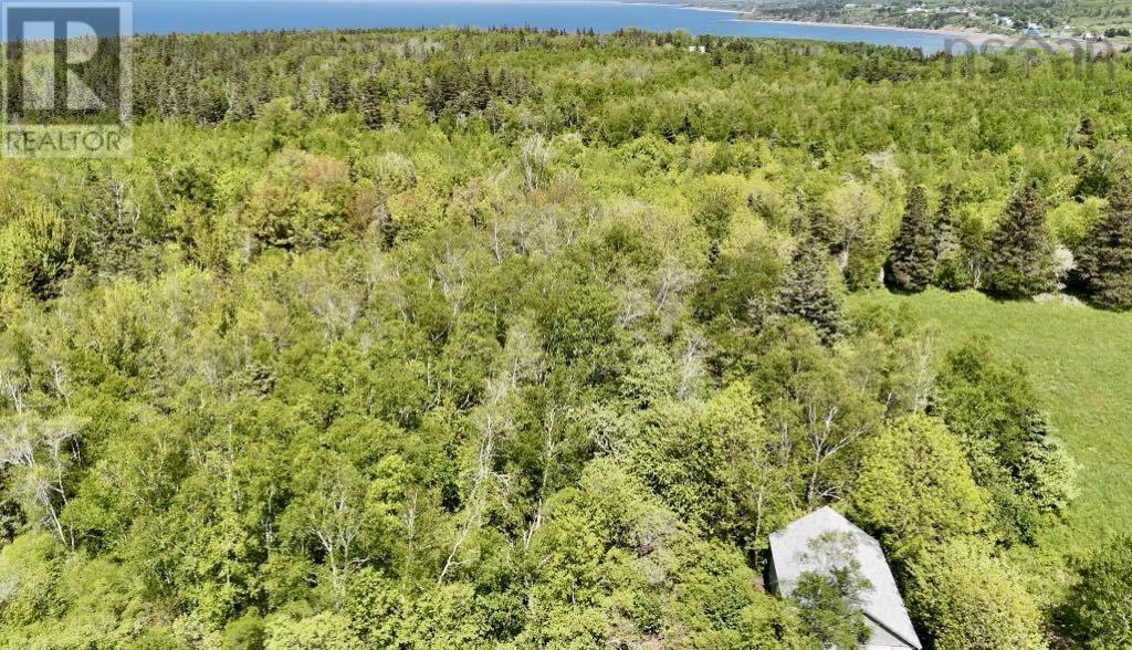 Lot 4 Kinney Road, Ashmore, Nova Scotia  B0W 3T0 - Photo 15 - 202515553