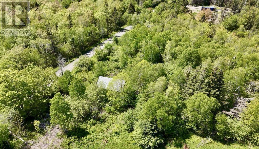 Lot 4 Kinney Road, Ashmore, Nova Scotia  B0W 3T0 - Photo 7 - 202515553