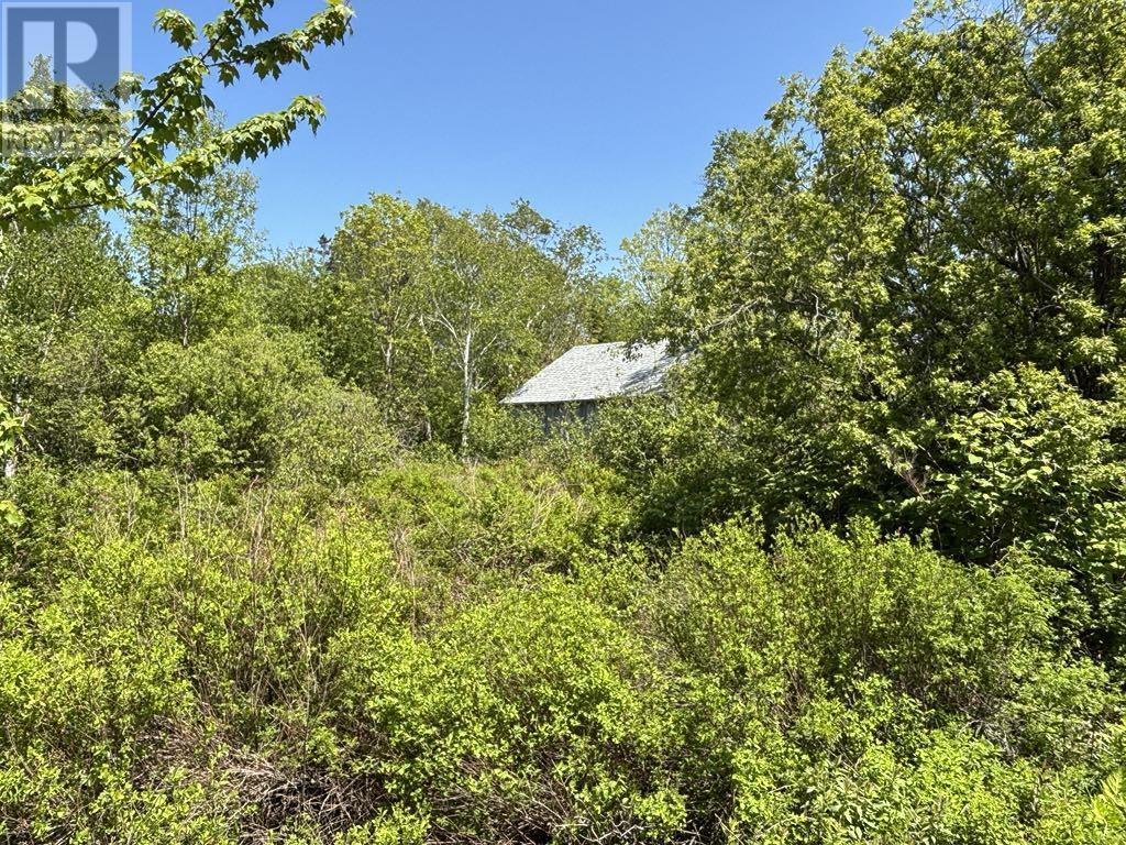 Lot 4 Kinney Road, Ashmore, Nova Scotia  B0W 3T0 - Photo 4 - 202515553
