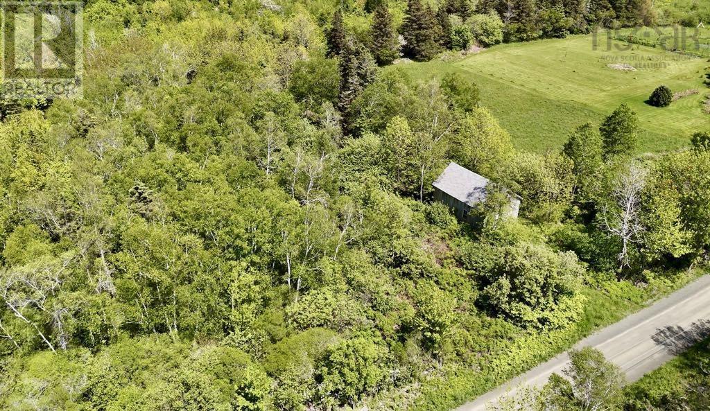Lot 4 Kinney Road, Ashmore, Nova Scotia  B0W 3T0 - Photo 8 - 202515553