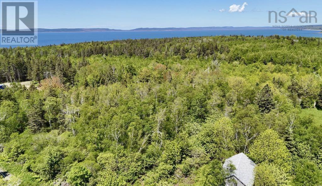 Lot 4 Kinney Road, Ashmore, Nova Scotia  B0W 3T0 - Photo 1 - 202515553