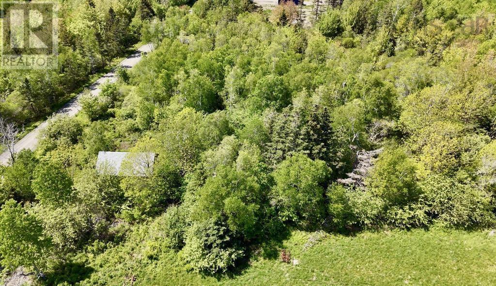 Lot 4 Kinney Road, Ashmore, Nova Scotia  B0W 3T0 - Photo 2 - 202515553