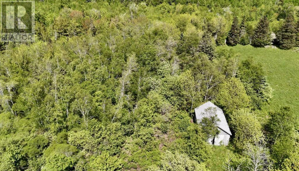 Lot 4 Kinney Road, Ashmore, Nova Scotia  B0W 3T0 - Photo 9 - 202515553