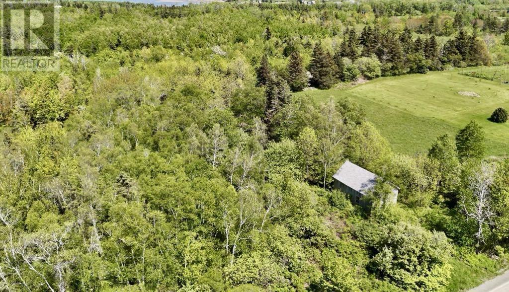 Lot 4 Kinney Road, Ashmore, Nova Scotia  B0W 3T0 - Photo 5 - 202515553