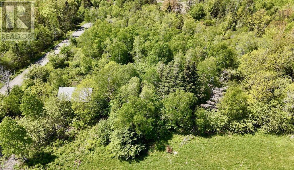 Lot 4 Kinney Road, Ashmore, Nova Scotia  B0W 3T0 - Photo 6 - 202515553