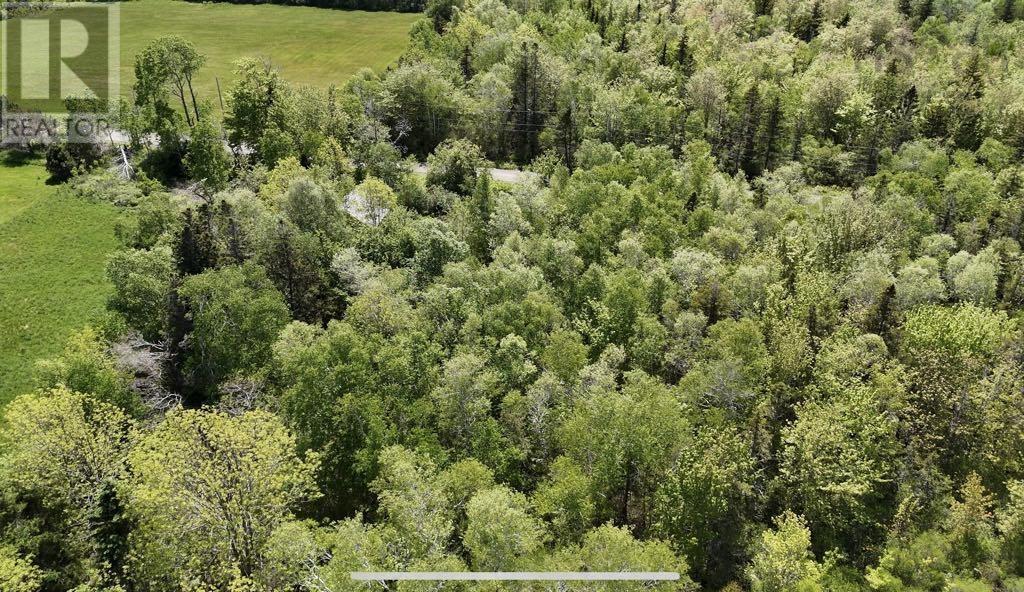 Lot 4 Kinney Road, Ashmore, Nova Scotia  B0W 3T0 - Photo 10 - 202515553