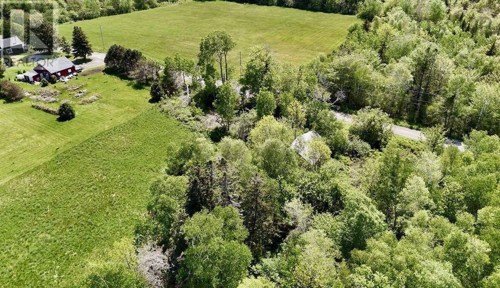 Lot 4 Kinney Road, Ashmore, Nova Scotia  B0W 3T0 - Photo 11 - 202515553