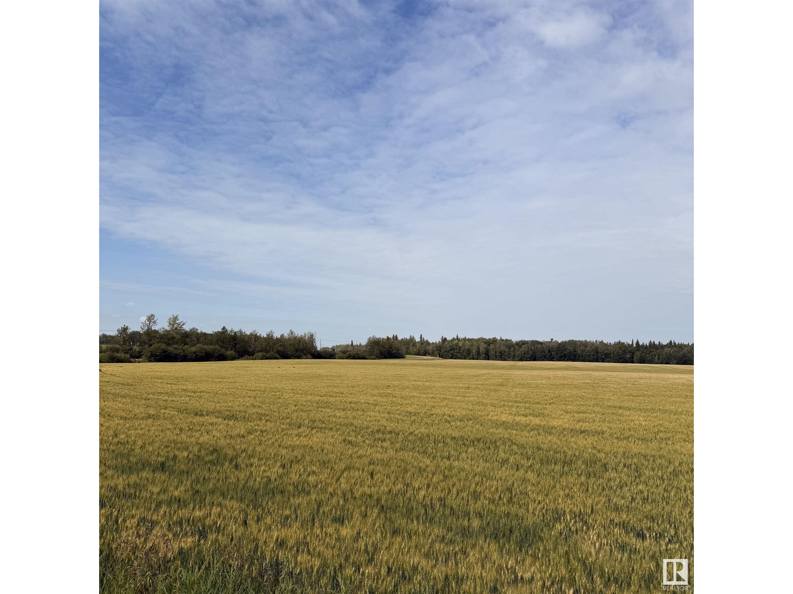 10512 Atim Rd, Rural Parkland County, Alberta  T7X 6L9 - Photo 8 - E4449926