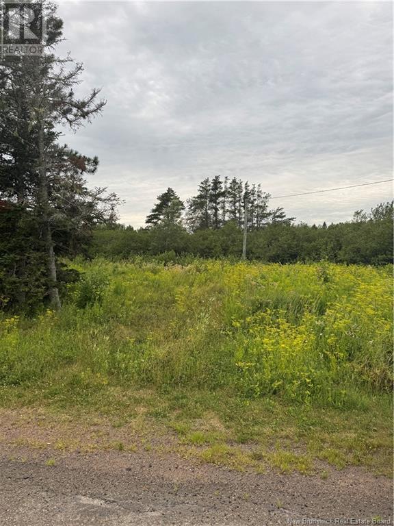 0 Collins Lake Road, Shemogue, New Brunswick