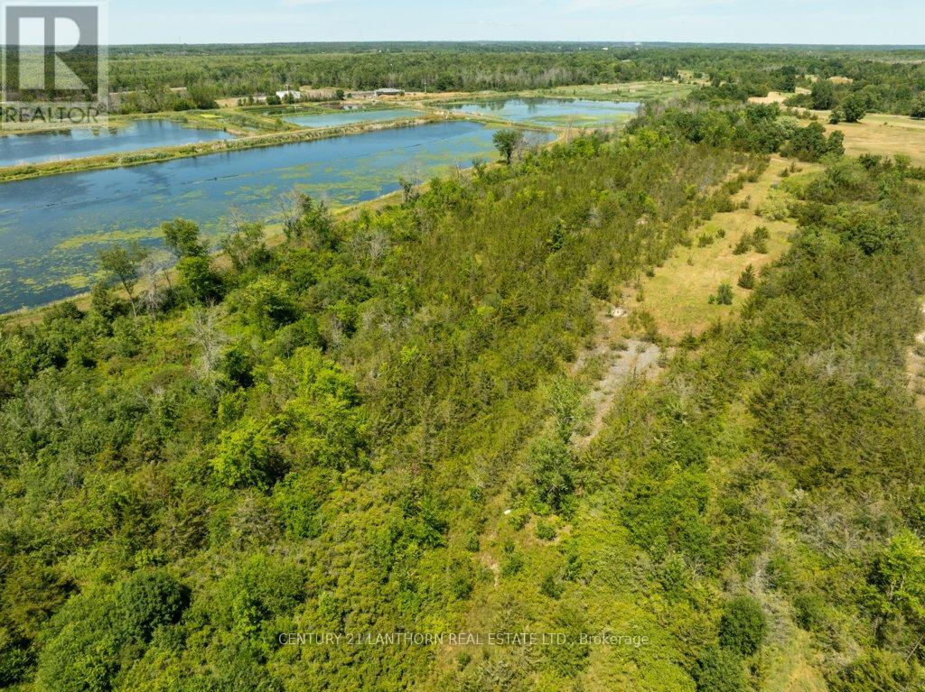 4250 Taylor Kidd Boulevard, Loyalist, Ontario  K0H 1G0 - Photo 17 - X12310940