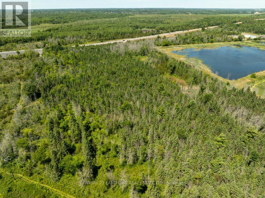 4250 Taylor Kidd Boulevard, Loyalist, Ontario  K0H 1G0 - Photo 25 - X12310940