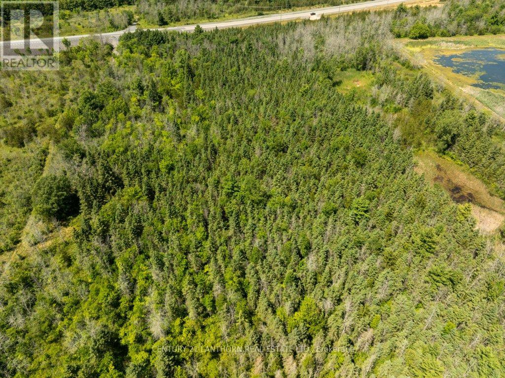 4250 Taylor Kidd Boulevard, Loyalist, Ontario  K0H 1G0 - Photo 27 - X12310940