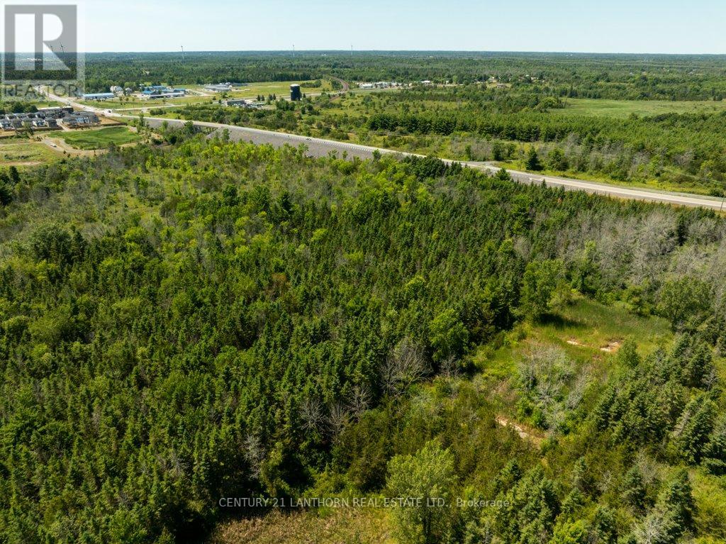 4250 Taylor Kidd Boulevard, Loyalist, Ontario  K0H 1G0 - Photo 28 - X12310940