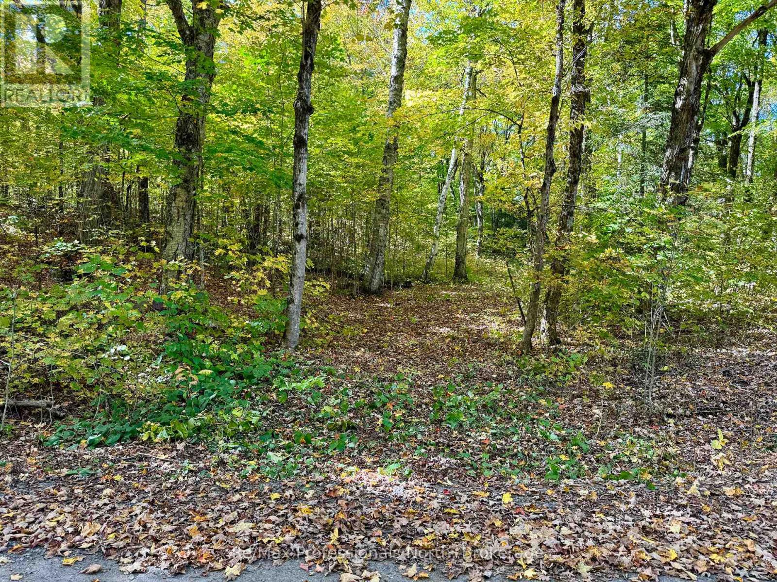 234 Longs Lake Road, Huntsville, Ontario  P0B 1M0 - Photo 3 - X12178880