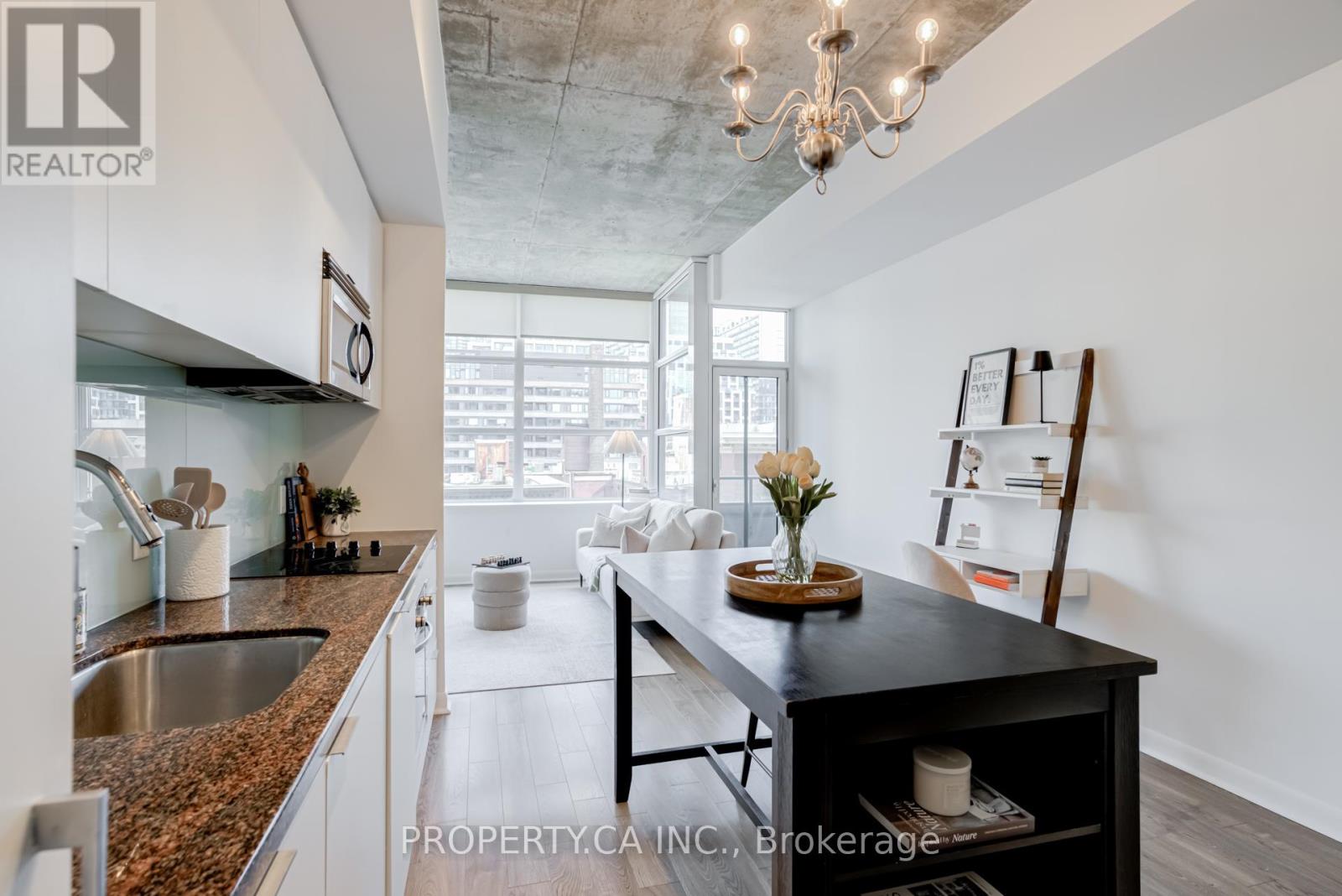 509 - 478 King Street W, Toronto, Ontario  M5V 0A8 - Photo 12 - C12310974