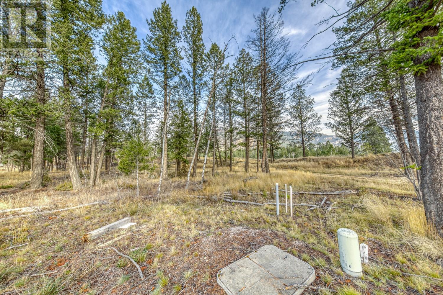 Pedley Heights Drive Lot# 51, Windermere, British Columbia  V0B 2L1 - Photo 4 - 10357408