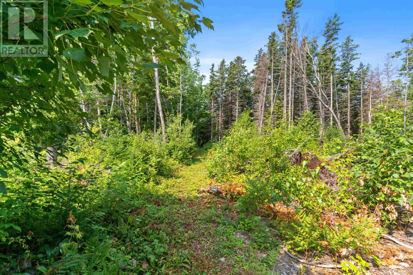 11929 Route 14, Pleasant View, Prince Edward Island  C0B 1Z0 - Photo 25 - 202518930
