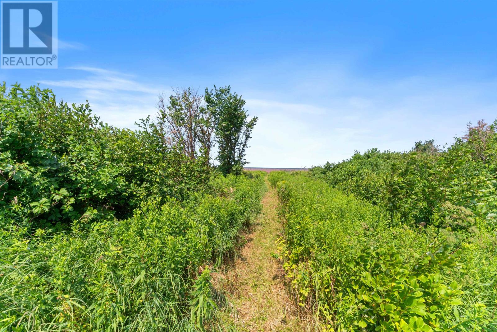 11929 Route 14, Pleasant View, Prince Edward Island  C0B 1Z0 - Photo 26 - 202518930